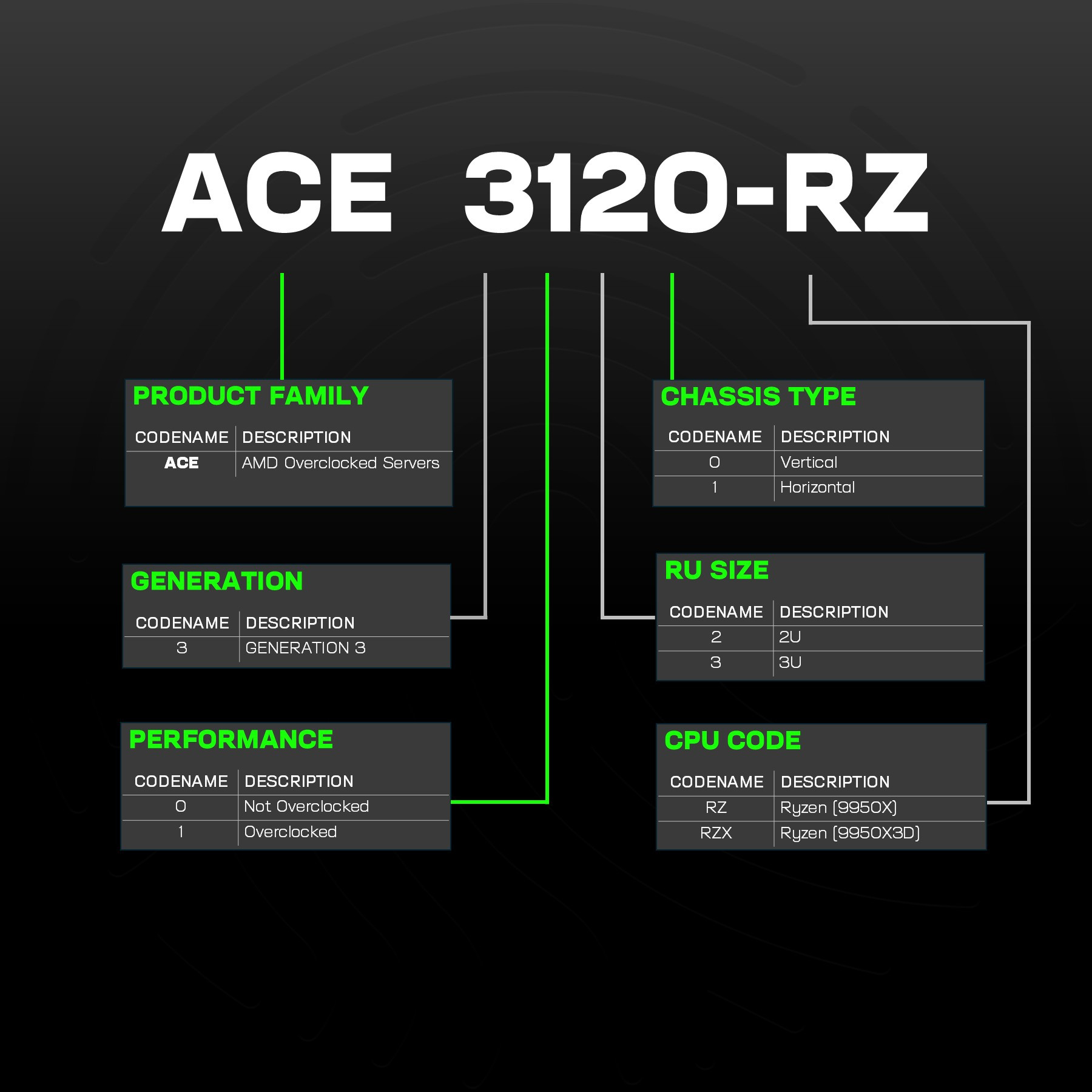ACE RZ[X] Explained